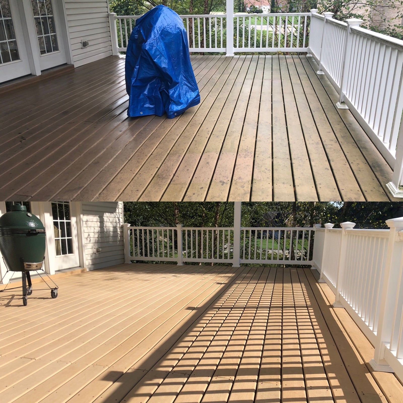 Deck & Fence